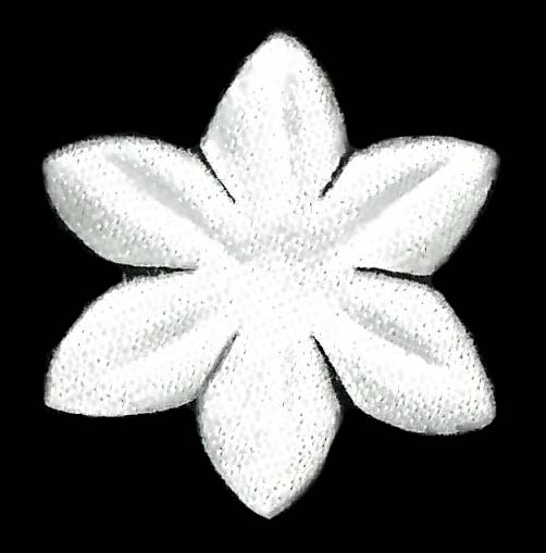 SATIN FLOWER - WINTER WHITE